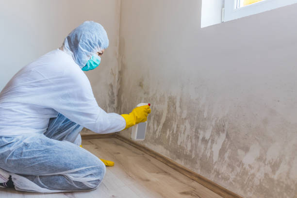 Crawl Space Mold Remediation treatment of floor joists in Nolensville
